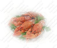 Изображение №126143