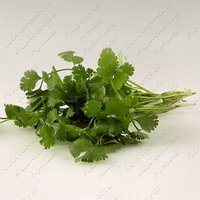 Изображение №328160