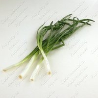 Изображение №328161