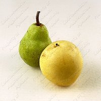 Изображение №328206