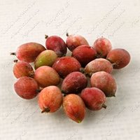 Изображение №328212
