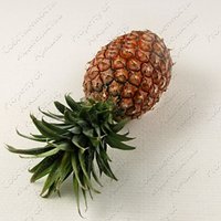 Изображение №328277