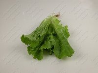 Изображение №532052