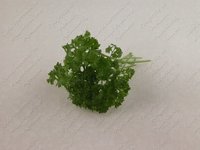 Изображение №533833