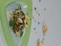Салат из морской капусты по-китайски