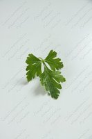 Изображение №569491