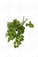 Изображение №63646