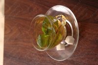 Изображение №711235