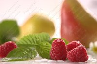 Изображение №719061