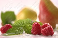Изображение №719062