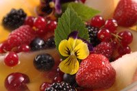 Изображение №719063