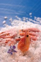 Изображение №728780