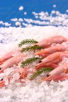 Изображение №728790