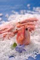 Изображение №728829