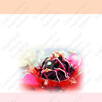 Изображение №82306