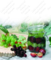 Изображение №83220