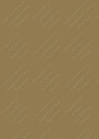 Изображение №955273